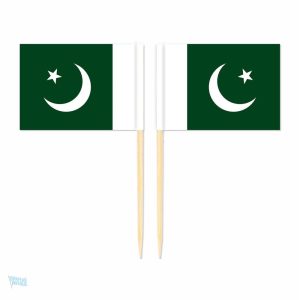 Mini drapeaux du Pakistan en pic pour décorations festives