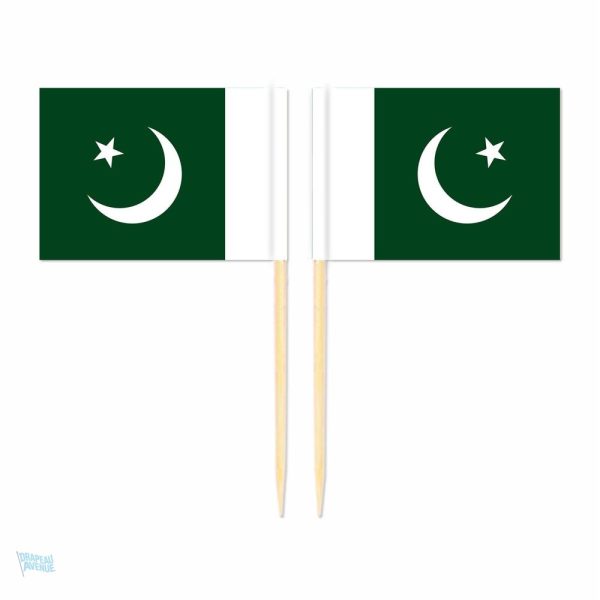 Mini drapeaux du Pakistan en pic pour décorations festives