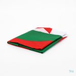 Accessoire de fête : drapeau Algérie