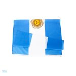 Petit drapeau d'Argentine pour célébrations