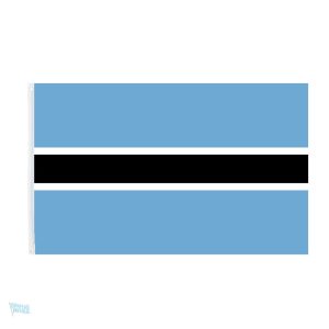Petit drapeau du Botswana