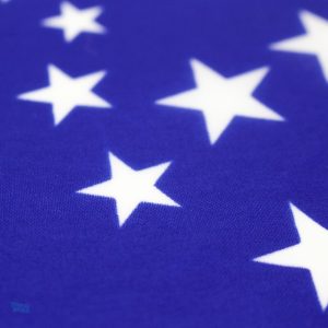 Petit drapeau Brésil, accessoire festif pour toutes occasions