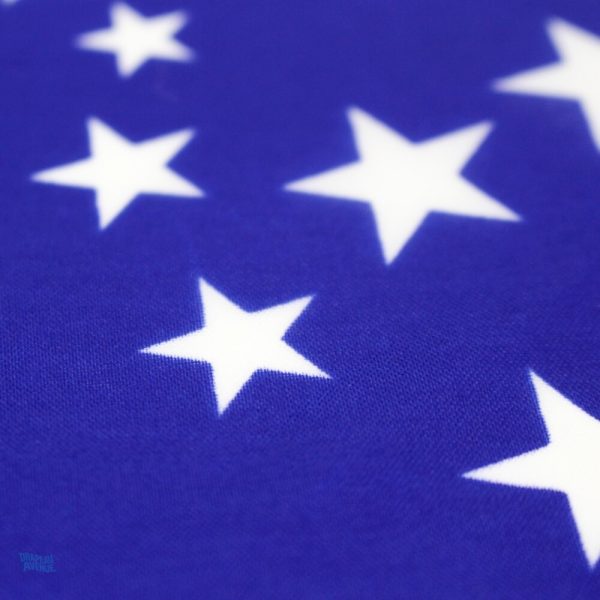 Petit drapeau Brésil, accessoire festif pour toutes occasions