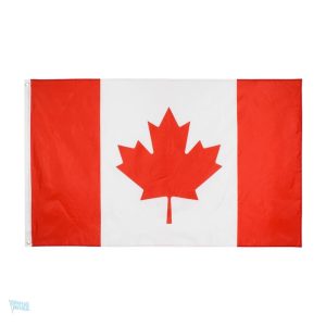 Petit drapeau du Canada avec motif emblématique