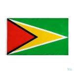 Petit drapeau du Guyana, symbole national coloré