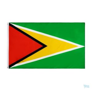 Petit drapeau du Guyana, symbole national coloré