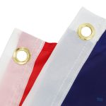 Accessoire de fête avec le drapeau Samoa vibrant
