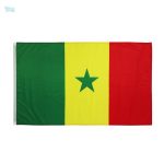 Petit drapeau du Sénégal en tissu coloré