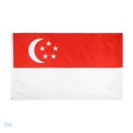 Petit drapeau de Singapour en polyester