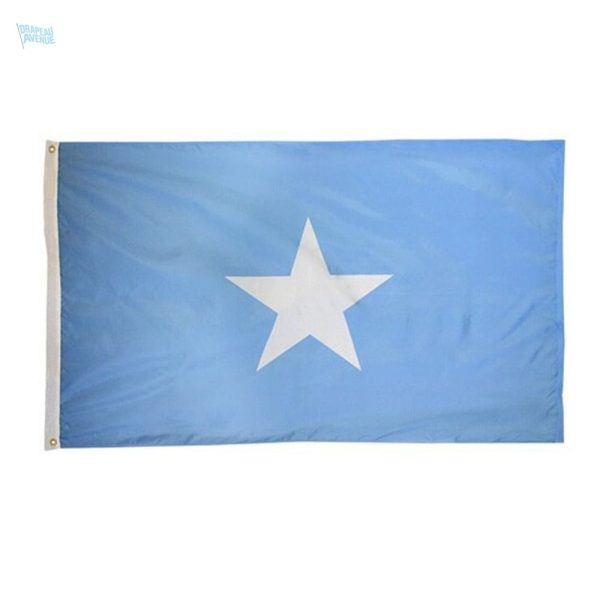 Petit drapeau de la Somalie en tissu bleu avec étoile blanche