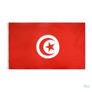 Petit drapeau de la Tunisie pour décoration ou événements
