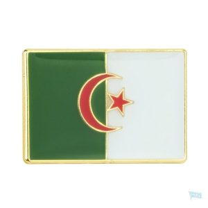 Petite broche représentant le drapeau de l'Algérie